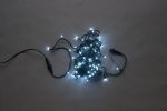 Flesi LED-PLS-100-10M-24V-W/BL-F-W/O Светодиодные гирлянды