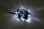 Flesi LED-PLS-100-10M-240V-W/BL-F-W/O Светодиодные гирлянды