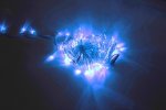 Flesi LED-PLS-200-20M-240V-B/W-W/O Светодиодные гирлянды
