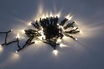 Flesi LED-PLR-100-10M-24V-WW/BL-W/O Светодиодные гирлянды