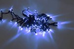 Flesi LED-PLR-100-10M-240V-B/BL-W/O Светодиодные гирлянды