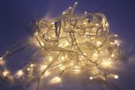 Flesi LED-PLS-192-20M-24V-WW/C-W/O Светодиодные гирлянды
