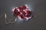 Flesi LED-PLR-200-20M-240V-W/RED Светодиодные гирлянды