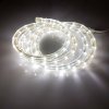 Flesi LED-DL-2W-100M-1M-240V-W Дюралайт