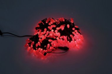 Фотография товара 'Flesi LED-PL-C6-4-G-220V-20-R Светодиодные гирлянды'