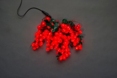 Фотография товара 'Flesi LED-PL-120-240V Светодиодные гирлянды'