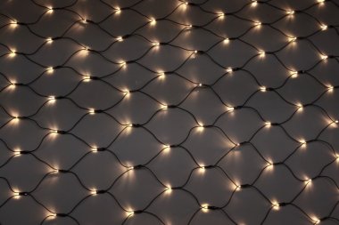 Фотография товара 'Flesi LED-SNL-288-2*2M-240V-WW/BL Светодиодная сеть'