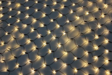 Фотография товара 'Flesi LED-SNL-540-2*4M-240V-WW/BL Светодиодная сеть'