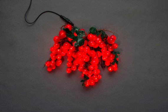 Фотография товара 'Flesi LED-PL-120-240V Светодиодные гирлянды'