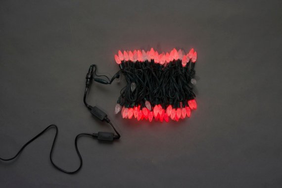 Фотография товара 'Flesi LED-XS-100-240V-R Светодиодные гирлянды'