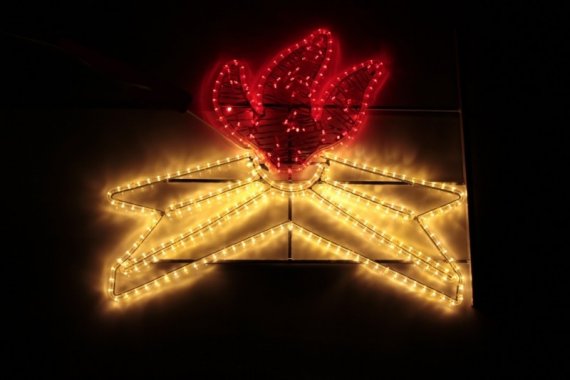 Фотография товара 'Flesi LED-KN-FLAME-100x80-220V-WW/R Светодиодные фигуры'