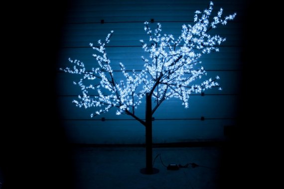 Фотография товара 'Flesi CBL-2.5-1728-W Светодиодные деревья'