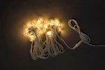 Flesi LED-2BLR-2835-50CM-10M-240V-WW/BL Белт-лайт