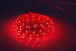 Flesi LED-CDL-FCB-3528-13MM-36L-240V-R Дюралайт